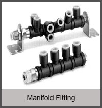 Manifold Fitting
